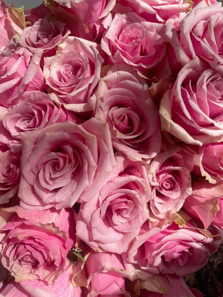 Enchanted Garden Vibrant Bloom Bunch